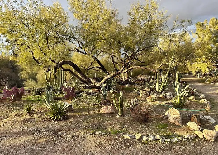 One Bedroom Apartment At Rancho Rillito