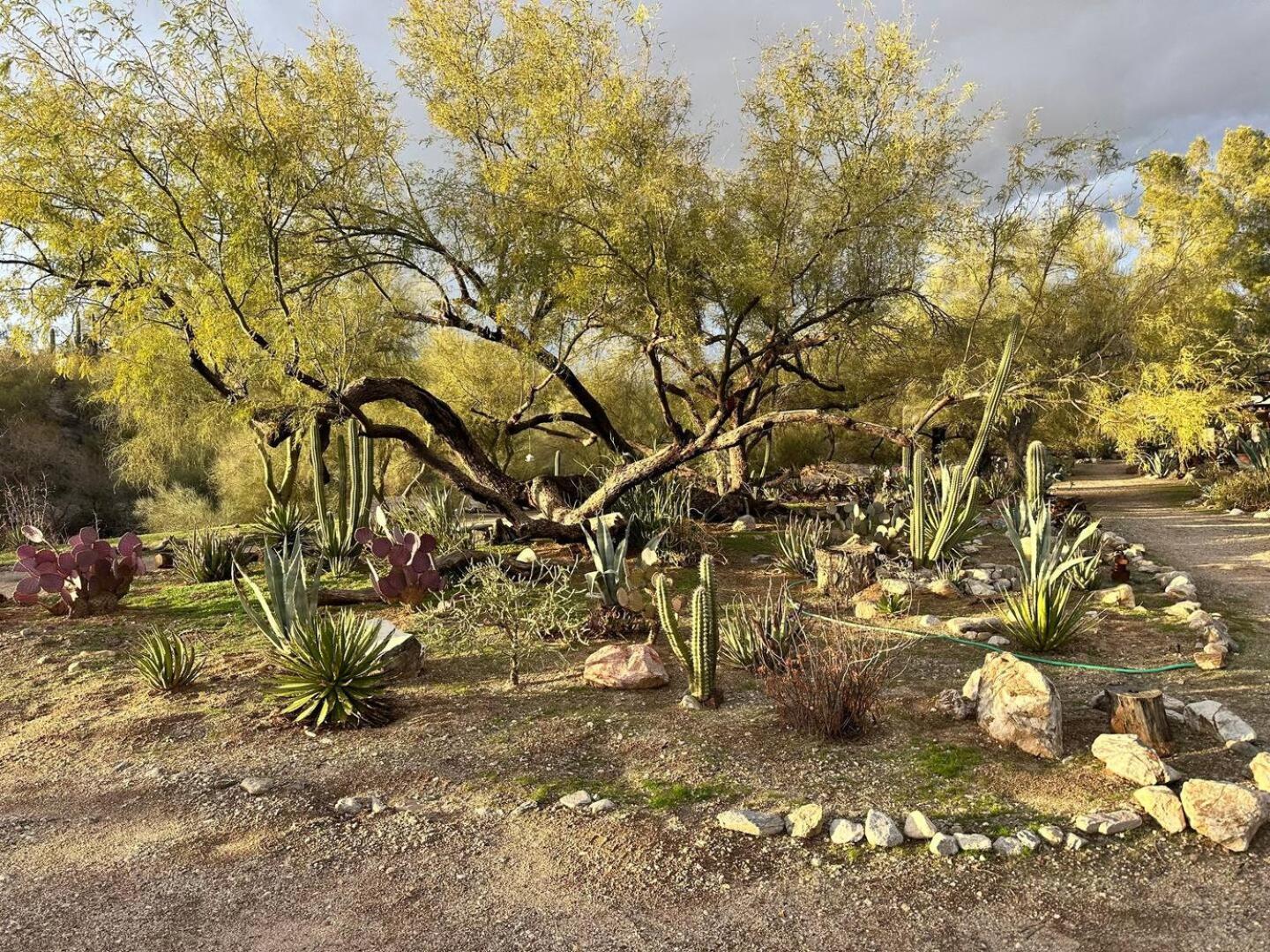 One Bedroom At Rancho Rillito *